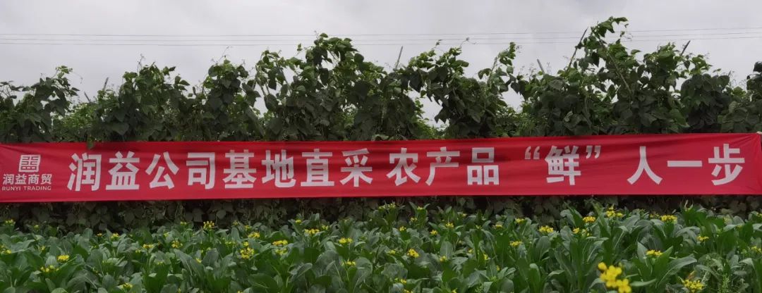 微信圖片_20220317112439 微信圖片_20220317112439