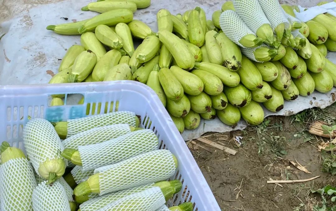 微信圖片_20220317112457 微信圖片_20220317112457