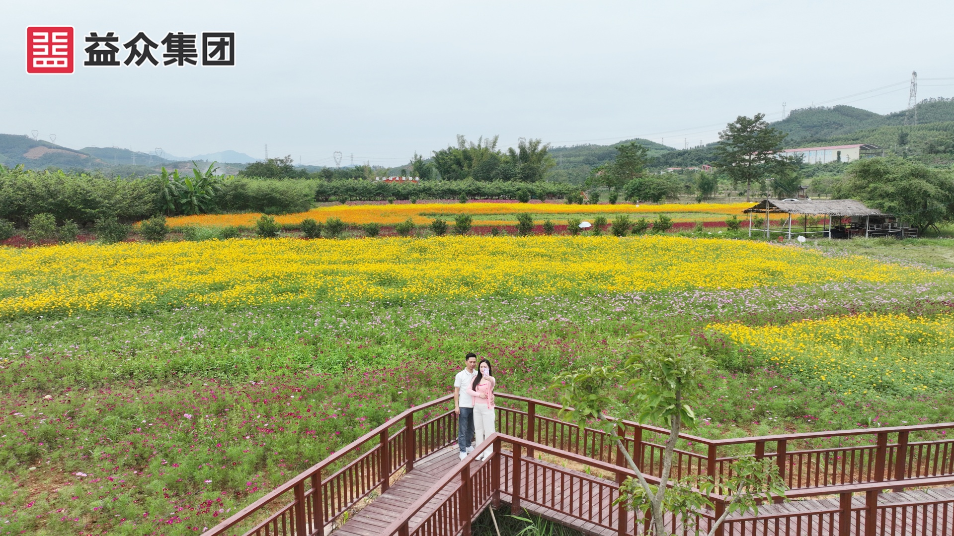 DJI_0276_副本 DJI_0276_副本