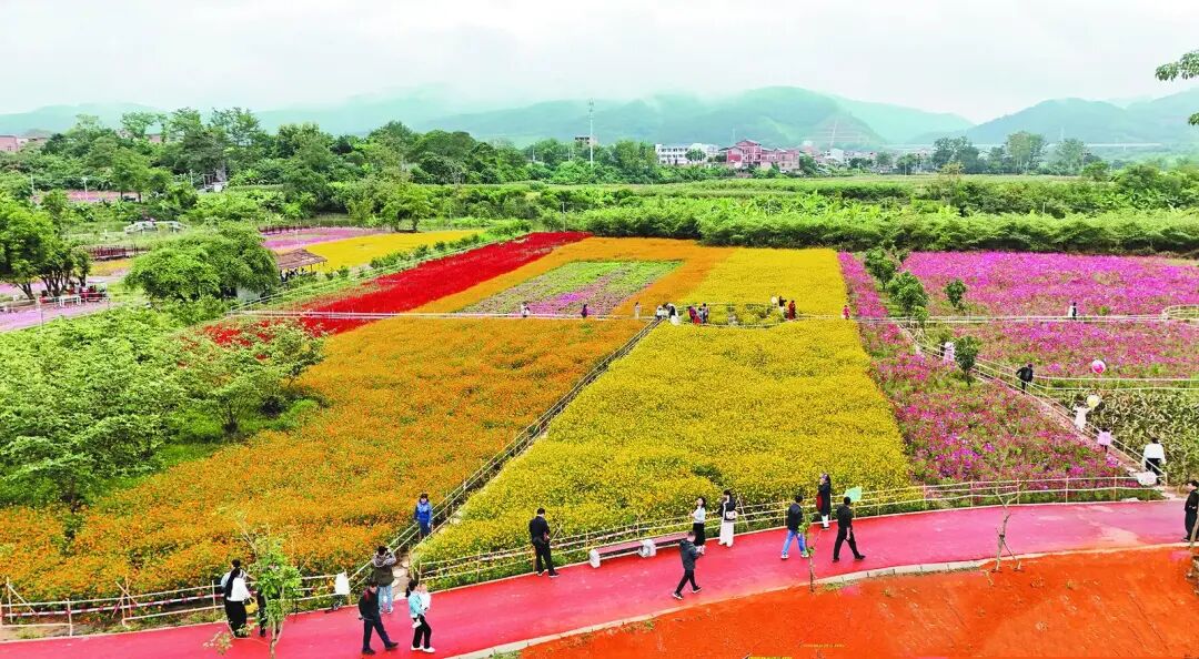 右江日報(bào)-2 右江日報(bào)-2